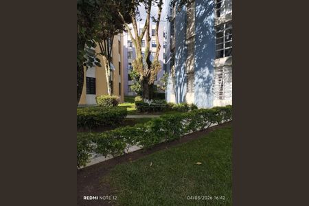 28_photo/94dce4ff27.f38e38137a2159e3-ATLAS-d9ae2be8-a31a-4feb-8502-cd408b658ace.jpg de apartamento para alugar com 2 quartos, 73m² em Jardim Botânico, Curitiba