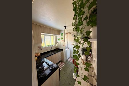 10_photo/94dce501c5.c7048a8dc0618162-ATLAS-e9e0bcbd-1b33-4190-b91c-e69df68adc06.jpg de apartamento à venda com 3 quartos, 49m² em Jardim Botânico, Curitiba