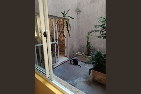 9_photo/94dce53a8f.d0e16e4b88455d71-ATLAS-3ed61c69-6490-4cf9-ae9e-d66fab82326f.jpg de casa para alugar com 4 quartos, 249m² em Jardim das Américas, Curitiba