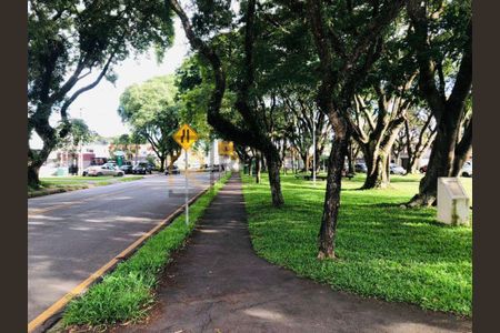 5_photo/94dce53e47.fd4e69175d3a2864-ATLAS-25eea8f1-1046-45c8-bf27-a71cb6df960e.jpg de apartamento para alugar com 5 quartos, 185m² em Jardim das Américas, Curitiba