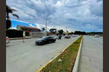 42_photo/94dce5a219.d507f7aa6fb7bece-ATLAS-488d6814-9583-49d9-9bb6-4a7cbeedeb89.jpg de casa à venda com 5 quartos, 400m² em Tarumã, Curitiba