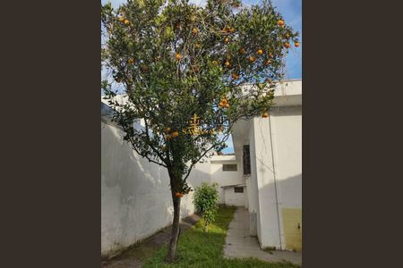 11_photo/94dce5c8ef.a7ae3b4e44d16c28-ATLAS-d5d2c334-79ad-4179-a807-4abfd2db6aa0.jpg de casa para alugar com 5 quartos, 350m² em Jardim Social, Curitiba