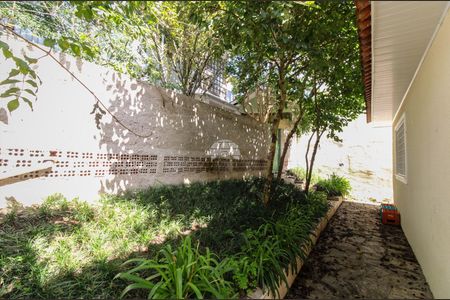 29_photo/94dce5cb2f.26618b519e7287ba-ATLAS-7e730115-bf5d-4f58-a970-7c2b3049a6d4.jpg de casa para alugar com 5 quartos, 125m² em Hugo Lange, Curitiba