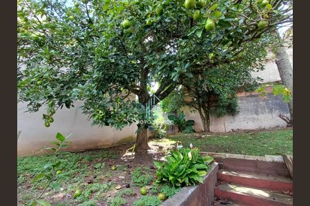 8_photo/94dce60c29.358915be0f21f955-ATLAS-70a9ff3f-8efc-40c4-ac5f-1f474a4d4eb7.jpg de casa à venda com 4 quartos, 127m² em Tingui, Curitiba
