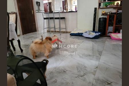 3_photo/94dce63e99.adb140a9451bad8e-ATLAS-296875f8-187a-457d-820e-d8bf309122c8.jpg de casa à venda com 3 quartos, 250m² em Santa Cândida, Curitiba