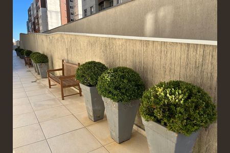 9_photo/94dce684a5.64f8aef48068d3ef-ATLAS-45a79906-c3f2-4580-aa93-9c3fe5b9ef74.jpg de apartamento para alugar com 3 quartos, 75m² em Cabral, Curitiba