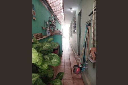 7_photo/94dce695fb.16787a6ea0be7e8a-ATLAS-251ee7a1-80ba-407a-bea7-774632ed0270.jpg de casa à venda com 5 quartos, 200m² em São Lourenço, Curitiba