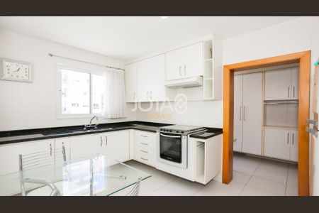 2_photo/94dce69ebf.8f3f2a47dd94676f-ATLAS-0e3813d9-2db0-458e-a2eb-d694256e30ea.jpg de apartamento para alugar com 3 quartos, 118m² em Ahú, Curitiba