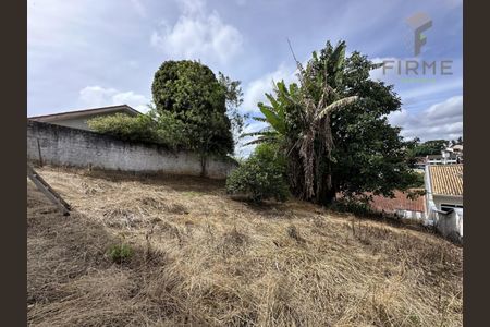 10_photo/94dce6b445.0dba02f6e03a3679-ATLAS-973fa575-48b2-4314-a58b-18c4c7dcab8f.jpg de casa à venda com 3 quartos, 650m² em Pilarzinho, Curitiba