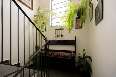 6_photo/94dce6bd51.e38f2492aa902cd9-ATLAS-ed2ba4d4-e766-4a42-a925-6fd95c5d9635.jpg de casa à venda com 3 quartos, 248m² em Ahú, Curitiba