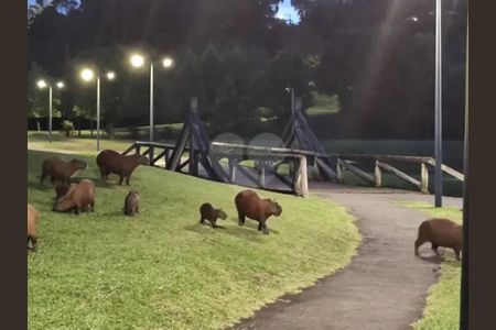 24_photo/94dce6d3f7.f861ecc718bdcbd7-ATLAS-dae4709a-ccff-4cf2-81d2-8f3059ac75a9.jpg de apartamento à venda com 3 quartos, 92m² em Abranches, Curitiba