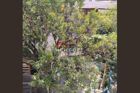 3_photo/94dce6ec2b.7ec8defd6b8918b2-ATLAS-23be74bf-7439-4b42-9098-24fb30a7f63b.jpg de casa à venda com 9 quartos, 340m² em Boa Vista, Curitiba