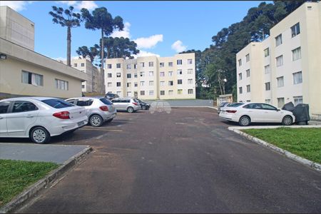 7_photo/94dce7167d.17765dabdcdaca4b-ATLAS-6ef51b50-eb3f-452f-84a8-734890631a75.jpg de apartamento para alugar com 2 quartos, 46m² em Cachoeira, Curitiba