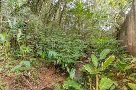 36_photo/94dce72b85.ceef305ded12bb28-ATLAS-b0e0b812-ecbb-4171-92a3-6be75e367fc0.jpg de casa à venda com 4 quartos, 680m² em Taboão, Curitiba