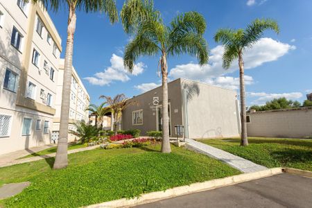 6_photo/94dcf9e3a5.12ea4801424a5fc8-ATLAS-2f941162-960d-4f02-8d8d-53ff4b56b5df.jpg de apartamento para alugar com 2 quartos, 38m² em Bom Jesus, São José dos Pinhais