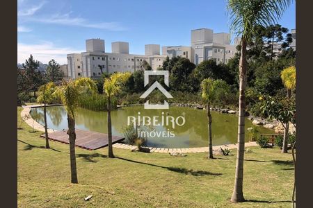 5_photo/94dcf9e3a5.12ea4801424a5fc8-ATLAS-e8b306fe-341a-424d-83fa-be5b53ed4d23.jpg de apartamento para alugar com 2 quartos, 38m² em Bom Jesus, São José dos Pinhais