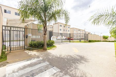 2_photo/94dcf9f251.f14d7a494a64fc38-ATLAS-1656dfa6-544e-43a5-941f-343e8f91c39d.jpg de apartamento para alugar com 2 quartos, 38m² em Colônia Rio Grande, São José dos Pinhais