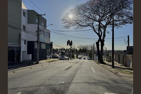 33_photo/94dcfa0d8d.974d063b20acfe41-ATLAS-15a658bd-238c-4d5a-8ead-fd074346cea5.jpg de apartamento para alugar com 3 quartos, 95m² em São Domingos, São José dos Pinhais