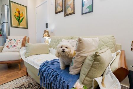 6_photo/94dcfa53d7.528a31e40c6ae081-ATLAS-aef7e9f0-89d0-4e8d-8bec-40bccb950ea3.jpg de apartamento à venda com 2 quartos, 46m² em Hauer, Curitiba