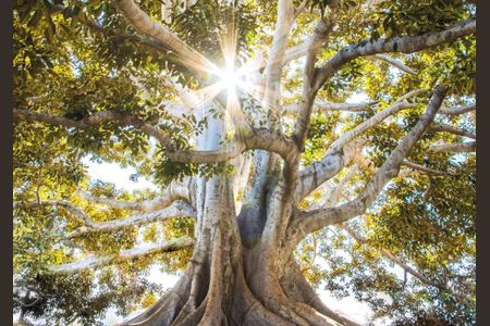 5_photo/94dcfb2c23.a5aae0993012fdde-ATLAS-2b64897d-7bce-48f8-9ec7-8cc24db2298e.jpg de apartamento à venda com 3 quartos, 70m² em Hauer, Curitiba