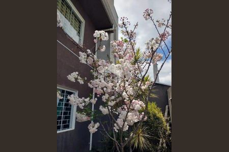 7_photo/94dcfb4a69.ce583aee00430bfc-ATLAS-24eb5f4f-e371-4ab6-97c1-3100cd79337a.jpg de casa à venda com 3 quartos, 152m² em Xaxim, Curitiba