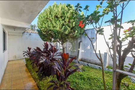 9_photo/94dcfb5b87.aaaaa2939d8ec39f-ATLAS-d643efc3-89a5-4ace-bc24-d30ff2e969df.jpg de casa à venda com 5 quartos, 205m² em Xaxim, Curitiba