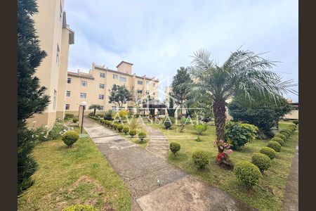 1_photo/94dcfb9953.ee31d1fd9df23408-ATLAS-51ebf2f1-5451-4c25-9feb-5fcc314a8ef5.jpg de apartamento à venda com 2 quartos, 61m² em Sítio Cercado, Curitiba