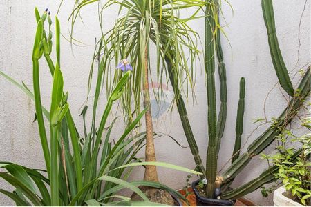 24_photo/94dcfb9a4b.32a8019b0364636a-ATLAS-91f42a92-4792-4476-a978-ee53e7051e3d.jpg de casa à venda com 3 quartos, 270m² em Sítio Cercado, Curitiba