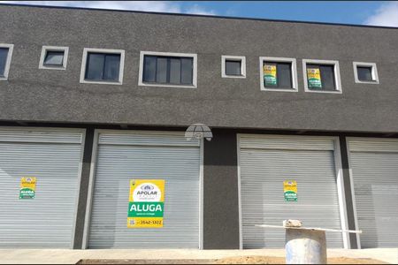 6_photo/94dcfbc9d3.9c45ddb1dd77a772-ATLAS-596ba590-0652-4cf2-8d4f-74a187f3ff24.jpg de apartamento para alugar com 1 quarto, 29m² em Sítio Cercado, Curitiba