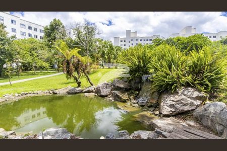 23_photo/94dcfca48b.88dcffa138285222-ATLAS-88178367-8f3f-4f3d-82dc-5f615be1a64e.jpg de apartamento para alugar com 2 quartos, 54m² em Pinheirinho, Curitiba