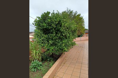 3_photo/94dcfcae0d.a15f321e408d66f6-ATLAS-0180ff2a-3d4a-4238-bc7d-e1aeb1df80fd.jpg de casa à venda com 4 quartos, 285m² em Capão Raso, Curitiba