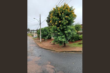 1_photo/94dcfcae0d.a15f321e408d66f6-ATLAS-b55d0705-ca3a-415e-9426-cbc43356e7cf.jpg de casa à venda com 4 quartos, 285m² em Capão Raso, Curitiba