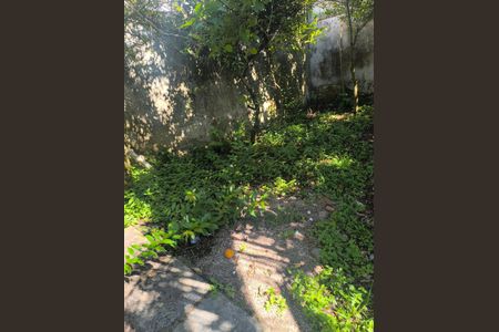 1_photo/94dcfcc451.d507f7aa6fb7bece-ATLAS-0cec139f-1ce9-4287-9a39-cf8984ae336b.jpg de casa à venda com 5 quartos, 160m² em Capão Raso, Curitiba