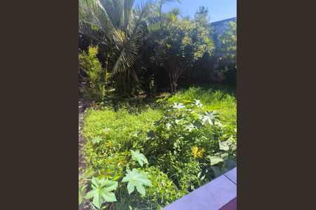 10_photo/94dcfcc451.d507f7aa6fb7bece-ATLAS-cf9dd457-51ec-442e-aa6f-76c757f7b3a9.jpg de casa à venda com 5 quartos, 160m² em Capão Raso, Curitiba