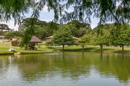 21_photo/94dd1e1893.4d4092f871e47b0b-ATLAS-e4d8ccec-a804-4b25-8e2e-d5c5a9565b31.jpg de casa à venda com 2 quartos, 1500m² em Orleans, Curitiba