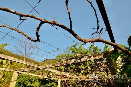 6_photo/9527255f53.a4b2167913fc6bc4-ATLAS-758ecf2c-39e2-4ecf-ae78-e2fddfcb51bf.jpg de casa à venda com 3 quartos, 157m² em Ribeirão da Ilha, Florianópolis