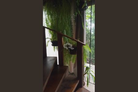 11_photo/952725dbfb.ceff8192393c33de-ATLAS-46295f52-3dc9-4581-92d6-e82834bd9d59.jpg de casa à venda com 1 quarto, 100m² em Pântano do Sul, Florianópolis