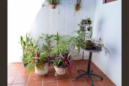 8_photo/952737b02d.8112f57c7da29d24-ATLAS-0ee5fa08-d49f-407a-bcdc-8084d49d50fe.jpg de casa à venda com 4 quartos, 363m² em Itaguaçu, Florianópolis