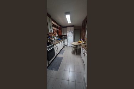 4_photo/952738223d.f9fd596f8c1c84e9-ATLAS-12e3d45e-a3f3-42ca-8158-a3032a57b3d3.jpg de apartamento à venda com 5 quartos, 345m² em Centro, Florianópolis