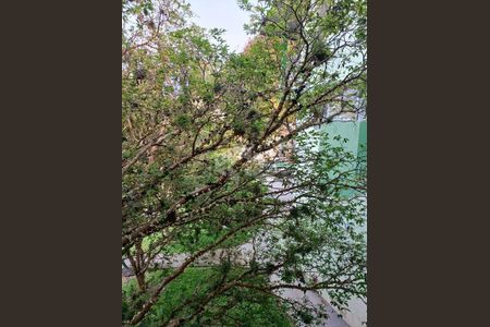 4_photo/9527385145.4e1a6e6486a440d9-ATLAS-47a292c8-e4a5-4ef5-935b-8b27e9c1ad2e.jpg de casa para alugar com 4 quartos, 278m² em Trindade, Florianópolis