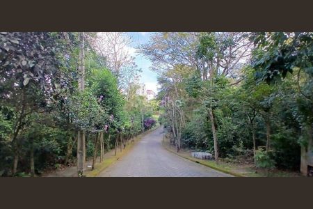 44_photo/9527385177.e98ed2530eefd725-ATLAS-e7e1a2a0-c45e-48fb-a135-13d42788cd7f.jpg de casa à venda com 3 quartos, 436m² em Morro da Cruz, Florianópolis