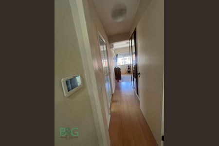 31_photo/9527385d03.7d44486df2fbe63f-ATLAS-7f50ae45-4bb7-4b4b-b9fa-4a66c9afd1b0.jpg de casa à venda com 4 quartos, 370m² em Trindade, Florianópolis