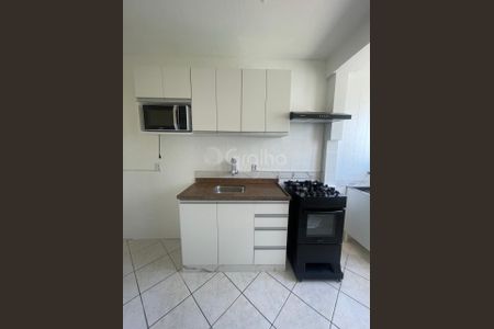 2_photo/95273865ed.6d1b6eb29dc6b1d2-ATLAS-3a10334c-809d-4230-9fba-1d929f0c0a5f.jpg de apartamento para alugar com 1 quarto, 41m² em Agronômica, Florianópolis