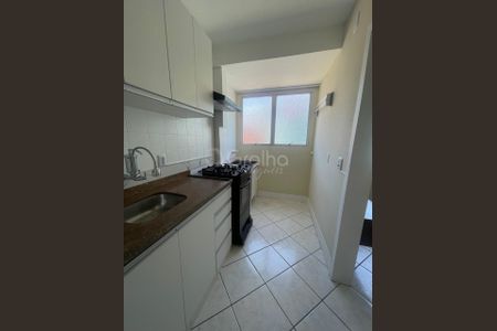 5_photo/95273865ed.6d1b6eb29dc6b1d2-ATLAS-565cc5f2-ec8b-4a94-819d-18a10b10b809.jpg de apartamento para alugar com 1 quarto, 41m² em Agronômica, Florianópolis