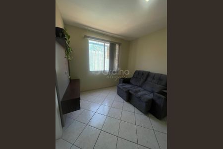 10_photo/95273865ed.6d1b6eb29dc6b1d2-ATLAS-66c0c990-e3a4-4325-bfb8-06a0be1ef449.jpg de apartamento para alugar com 1 quarto, 41m² em Agronômica, Florianópolis