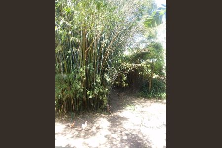 12_photo/9527386ce9.36817066de3aa5de-ATLAS-d541774f-fbdd-4076-ac25-e435a3ffda4f.jpg de casa à venda com 4 quartos, 218m² em Agronômica, Florianópolis