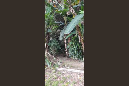 9_photo/9527386cf7.0b41dd9f8e6ad8d9-ATLAS-450de95d-c2cc-49c8-aa13-8d35d1ba36a1.jpg de casa à venda com 5 quartos, 219m² em Agronômica, Florianópolis