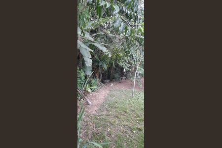 15_photo/9527386cf7.0b41dd9f8e6ad8d9-ATLAS-d8455dac-e6a3-4ac5-8e39-5812f90d46a5.jpg de casa à venda com 5 quartos, 219m² em Agronômica, Florianópolis