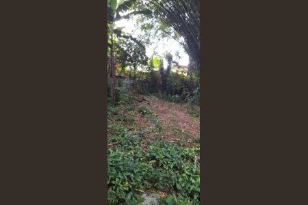 6_photo/9527386cf7.0b41dd9f8e6ad8d9-ATLAS-ec152ba0-8994-4db9-b85a-7e3a299b5cf1.jpg de casa à venda com 5 quartos, 219m² em Agronômica, Florianópolis