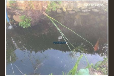 11_photo/952738806b.1788552eaf7d05ed-ATLAS-769e7bcf-a42a-4fe1-9dee-23b6cfec6d4c.jpg de casa à venda com 6 quartos, 585m² em João Paulo, Florianópolis